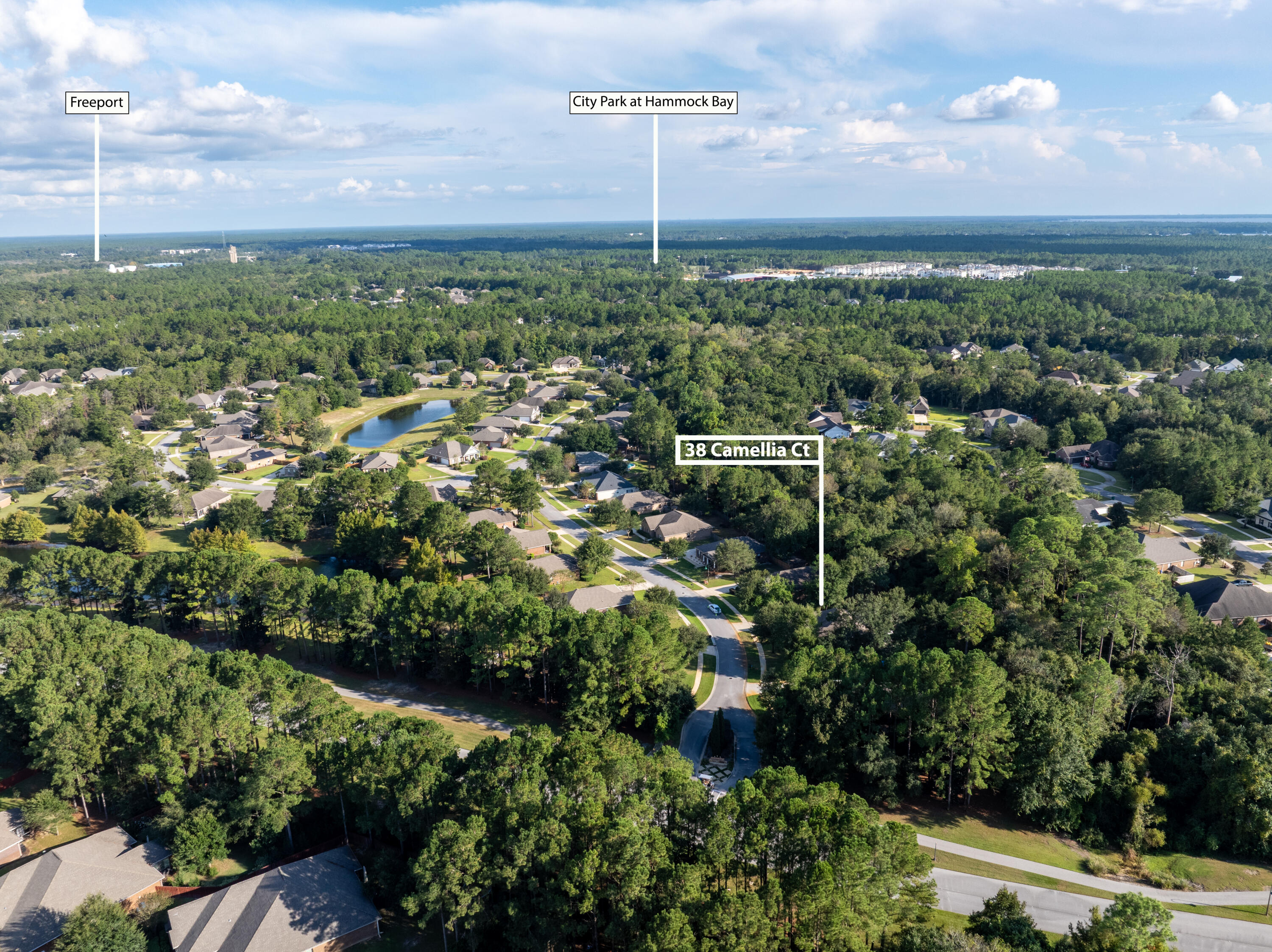 38 Camellia Court Freeport, FL 32439 - Photo 39 of 91 Aerial (3)