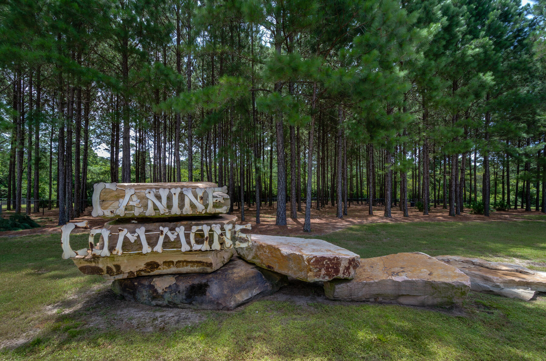 38 Camellia Court Freeport, FL 32439 - Photo 80 of 91 a view of a backyard with swimming pool