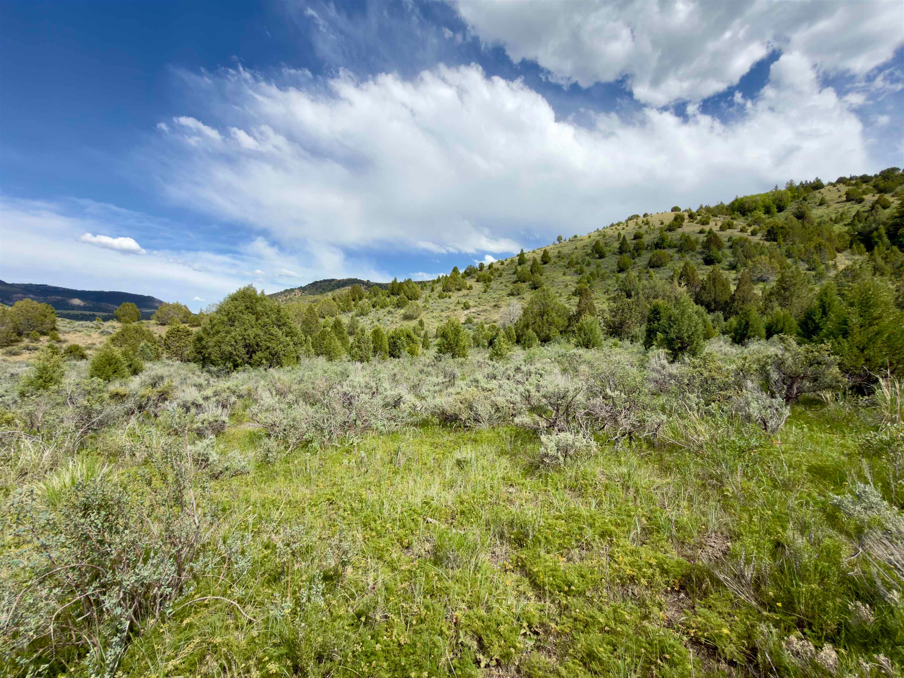 Tbd Fish Creek Road Lava Hot Springs, ID 83246 - Photo 35 of 50 Gallery Image 35