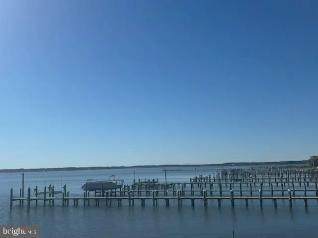 a view of ocean with large trees