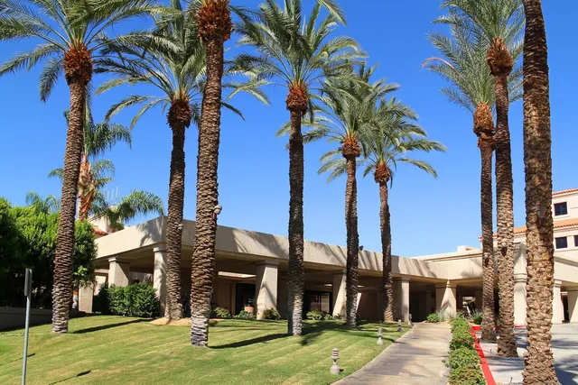 a view of a yard with a fountain and a palm tree