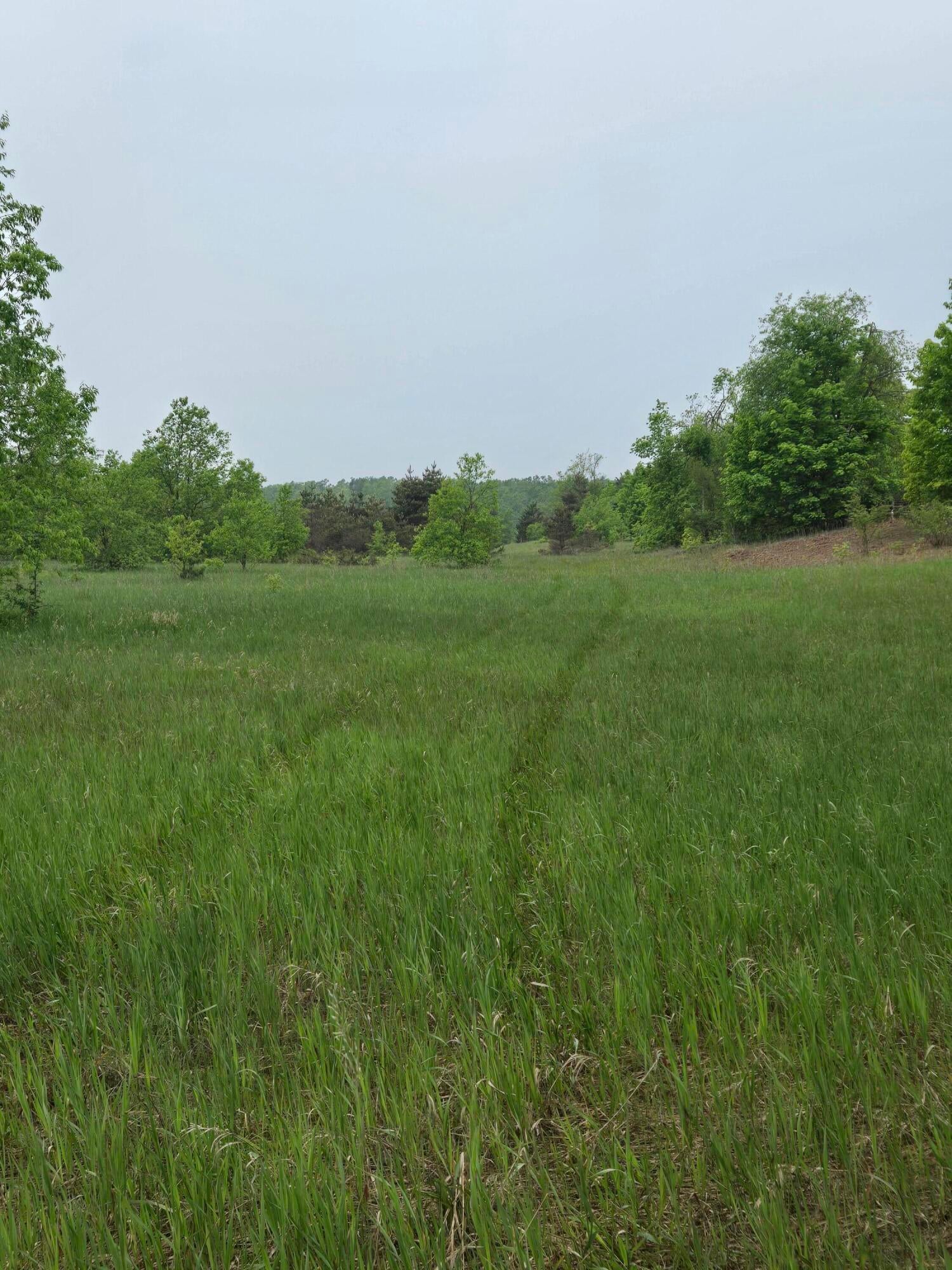 0 Durkalic Road Pellston, MI 49769 - Photo 15 of 15 20250530_112518