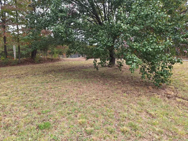 $1,000 | 538 Mt Nebo Road, Iron City, TN 38463