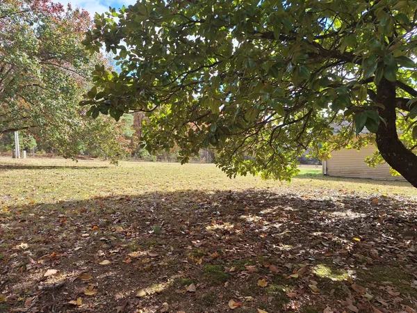 $1,350 | 538 Mt Nebo Road, Iron City, TN 38463