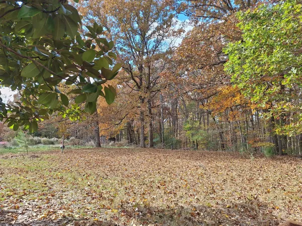 $1,350 | 538 Mt Nebo Road, Iron City, TN 38463