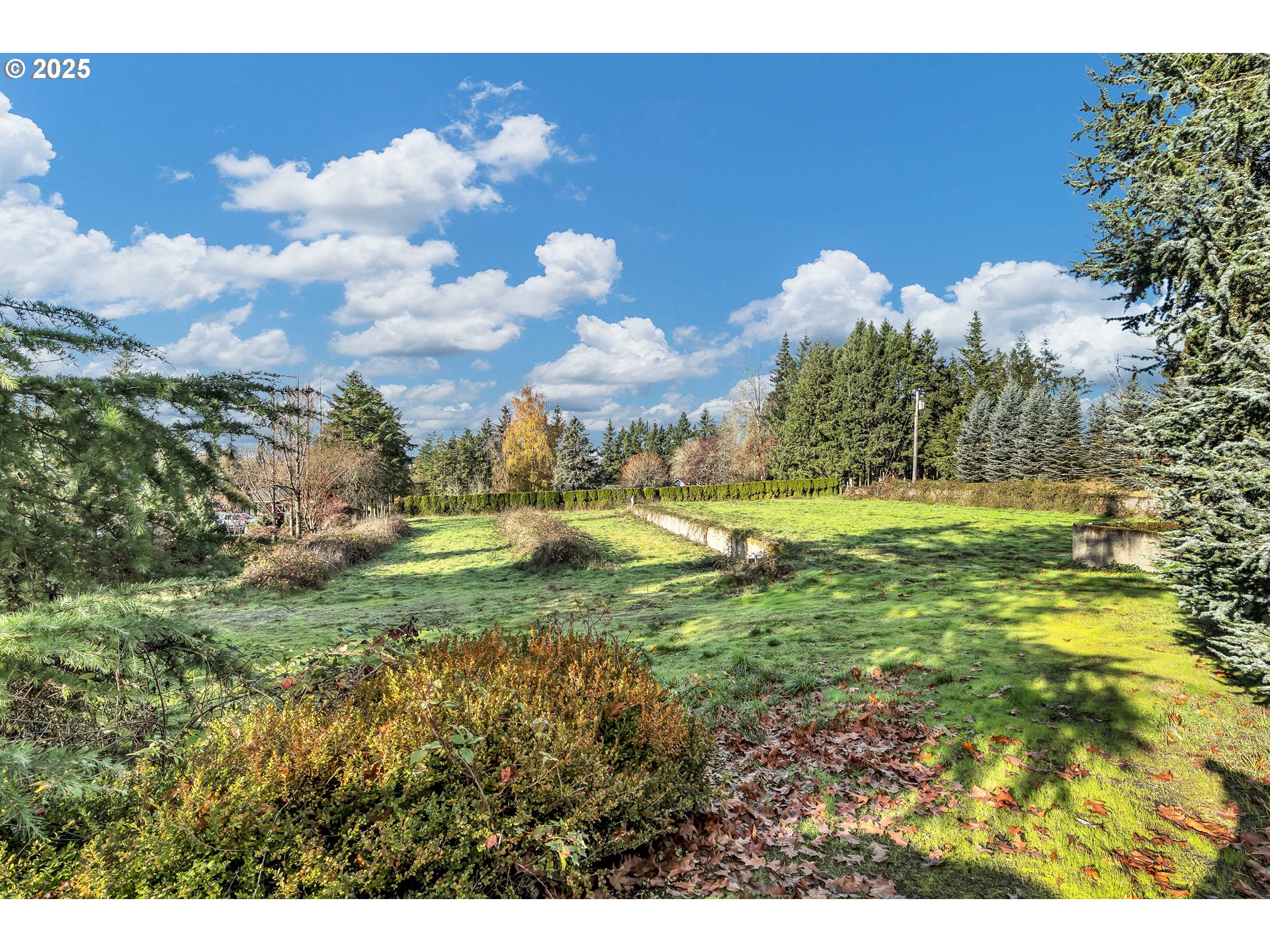 601 South Park Street Carlton, OR 97111 - Photo 1 of 17 a view of a garden