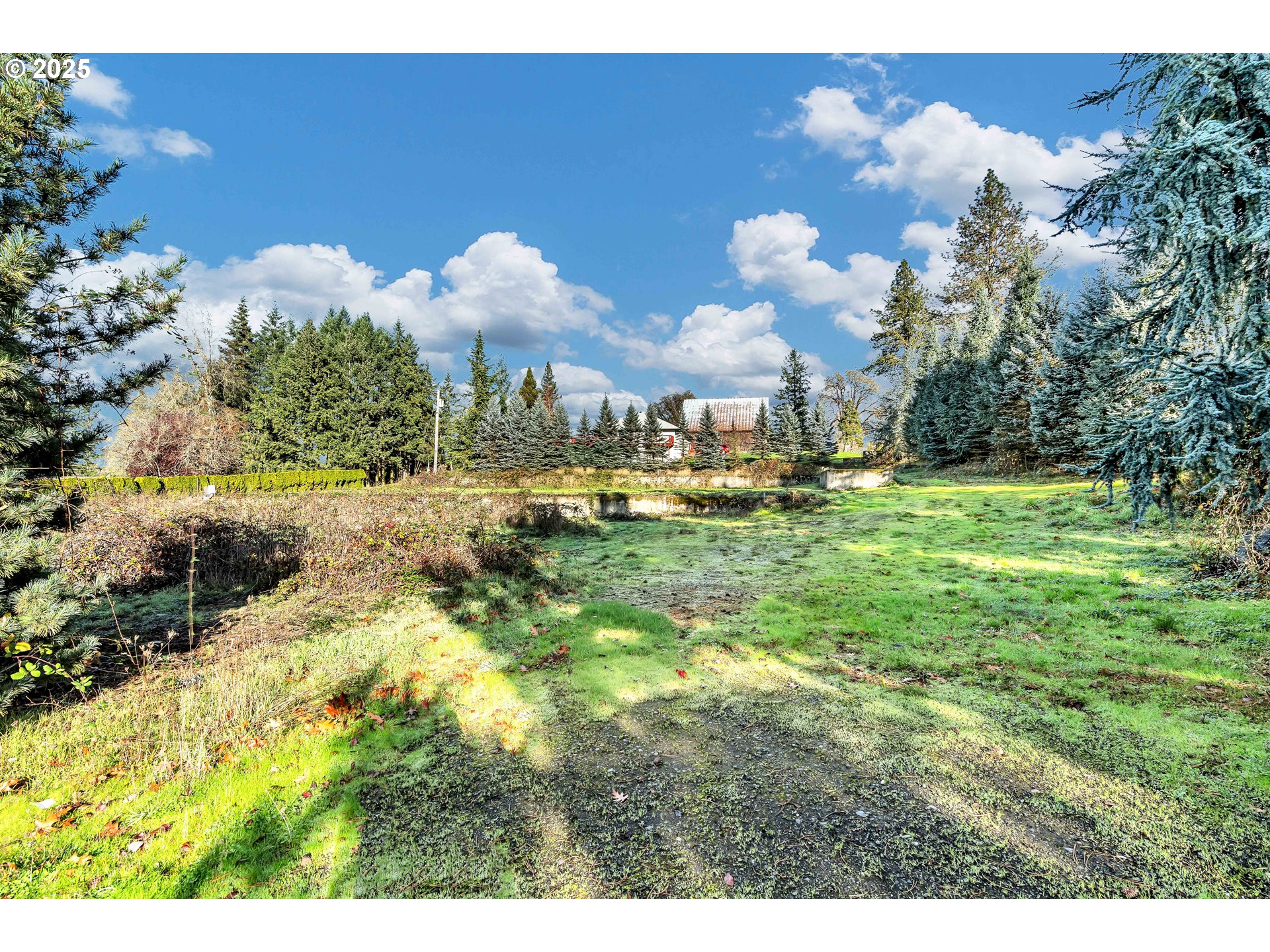 601 South Park Street Carlton, OR 97111 - Photo 2 of 17 a view of a town with palm trees