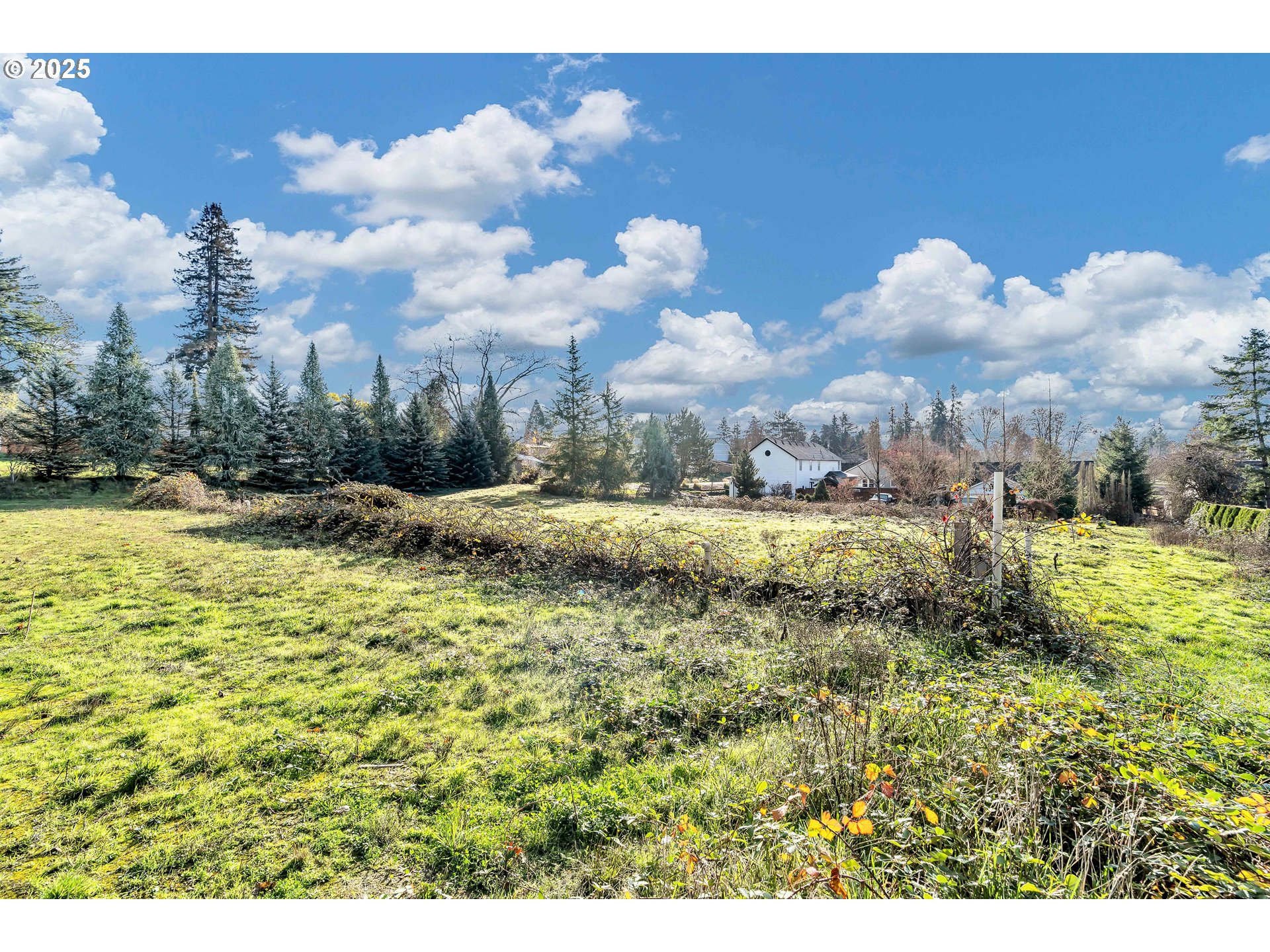 601 South Park Street Carlton, OR 97111 - Photo 4 of 17 a view of a lake with houses