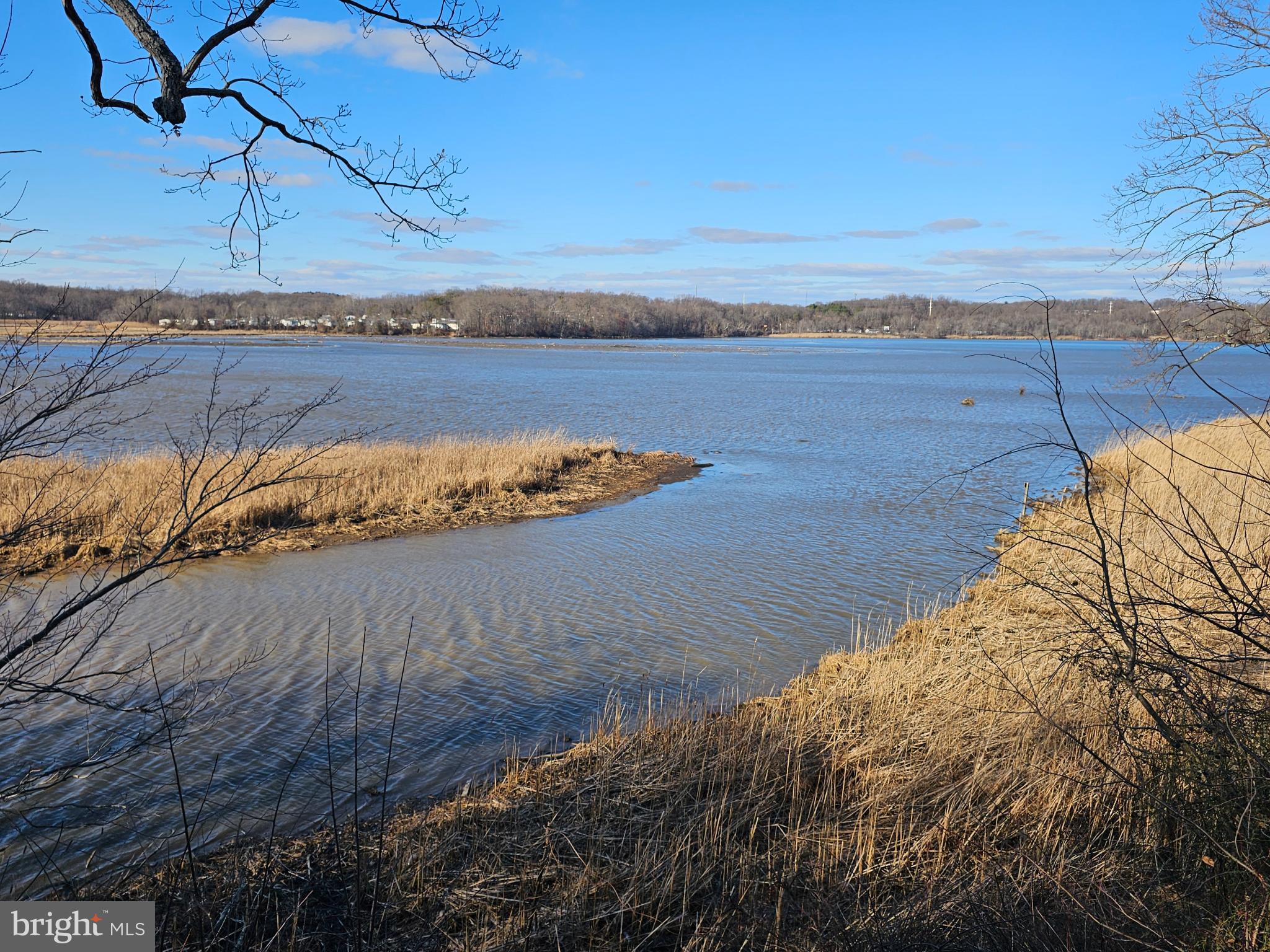 3108 Sounding Drive Edgewood, MD 21040 - Photo 30 of 37 Serene waters meet golden grasses.