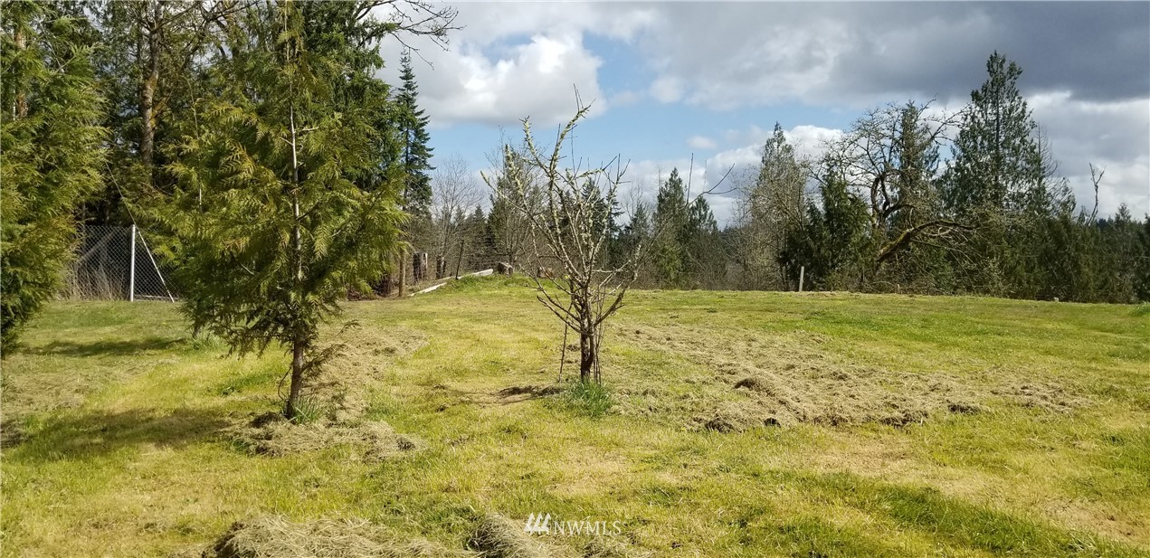 245 Limmer Road Winlock, WA 98596 - Photo 6 of 9