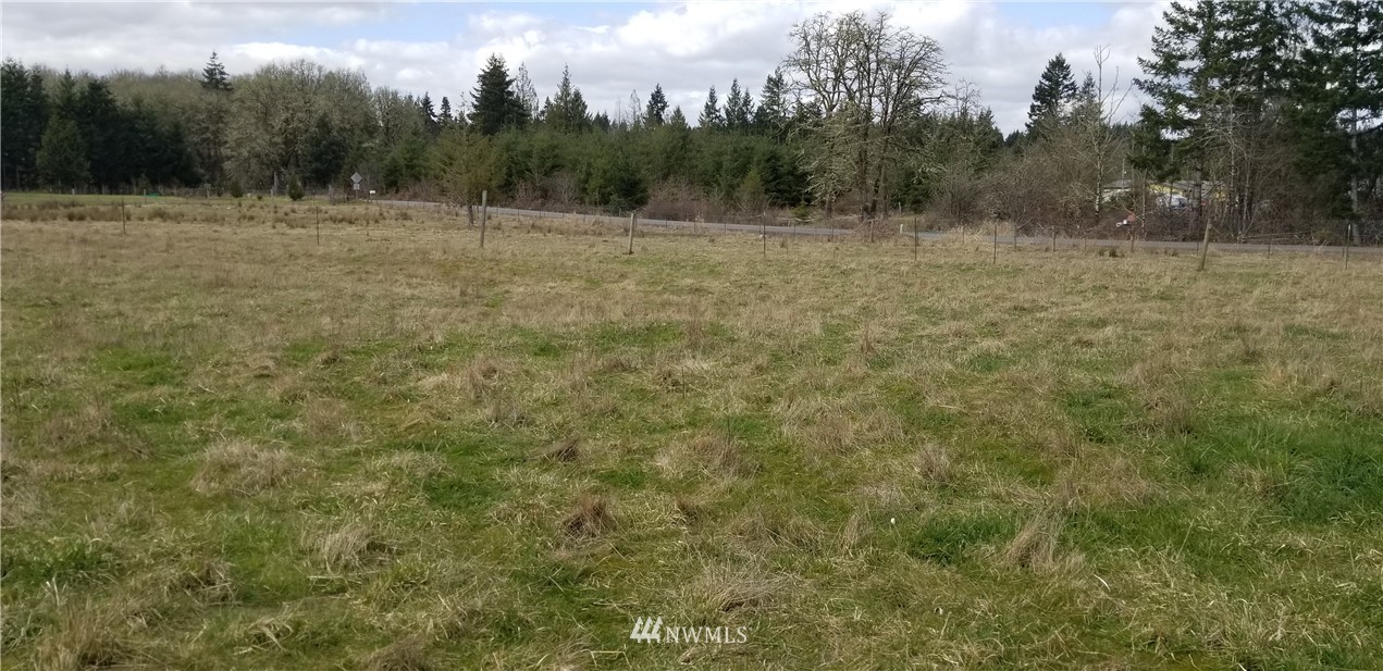 245 Limmer Road Winlock, WA 98596 - Photo 8 of 9
