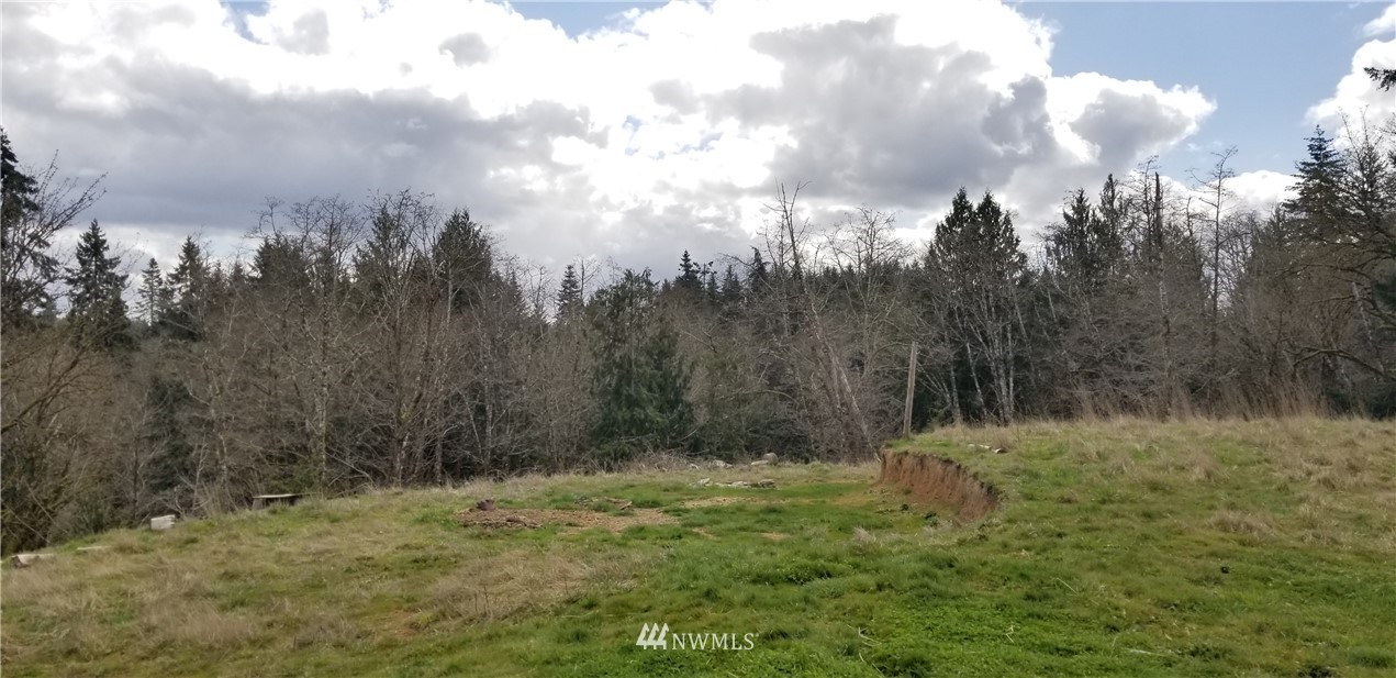 245 Limmer Road Winlock, WA 98596 - Photo 9 of 9