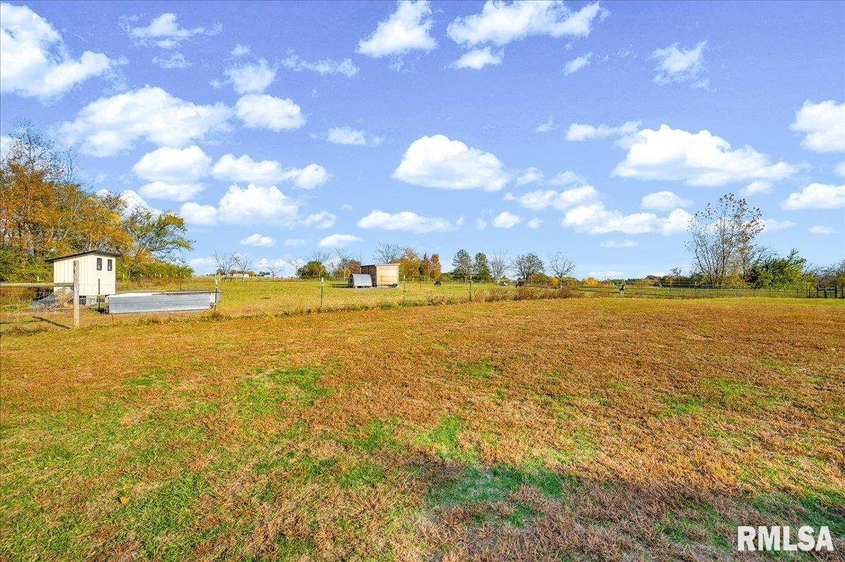 493 Reaba Avenue Congerville, IL 61729 - Photo 48 of 68