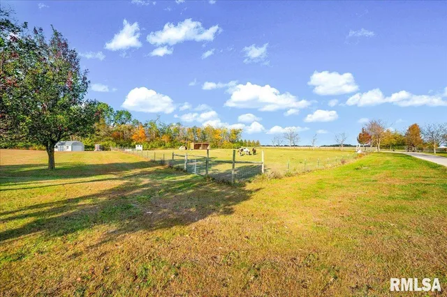 $490,000 | 493 Reaba Avenue, Congerville, IL 61729