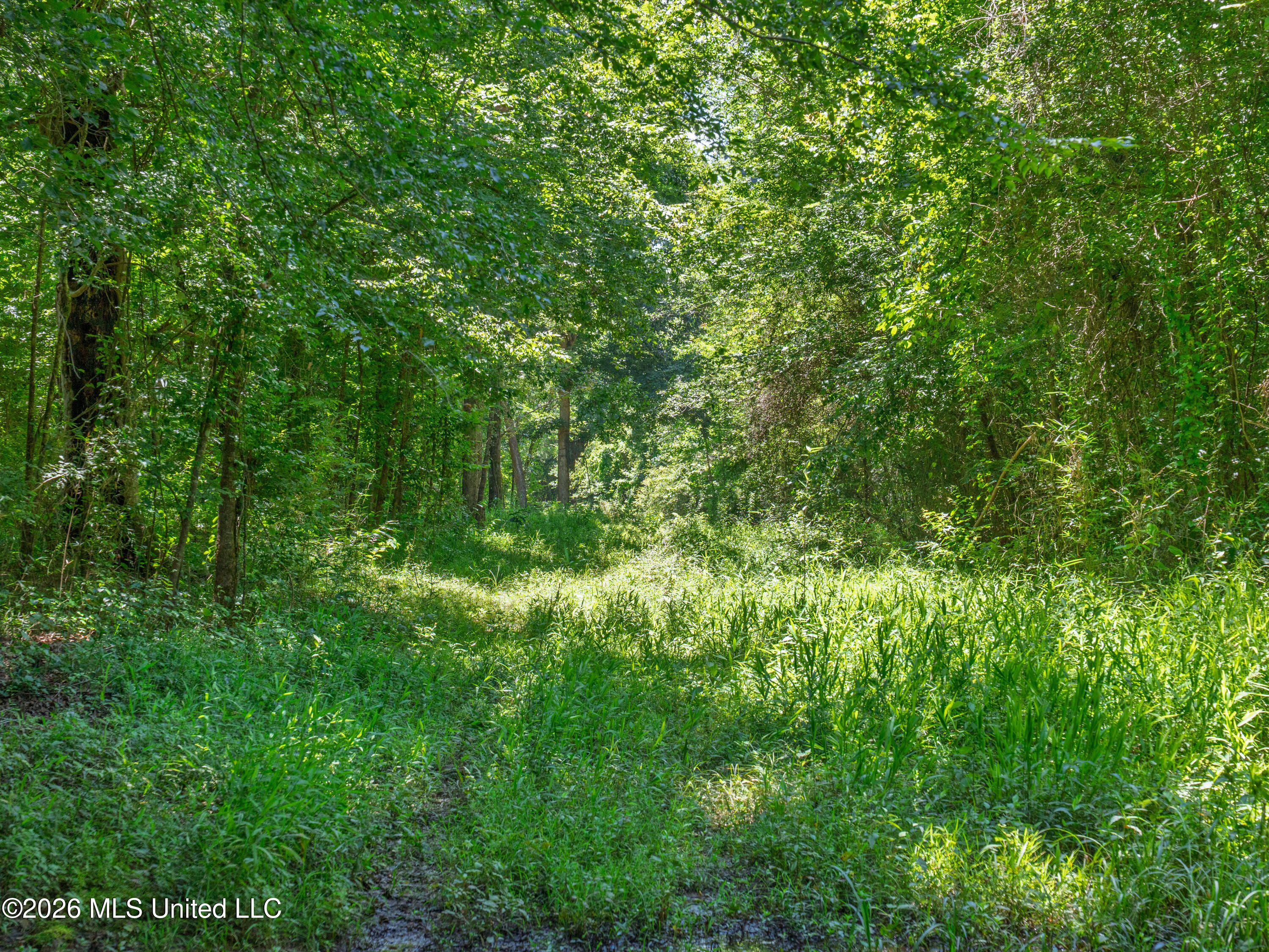 23 Co Road Bay Springs, MS 39422 - Photo 17 of 64 A7403752