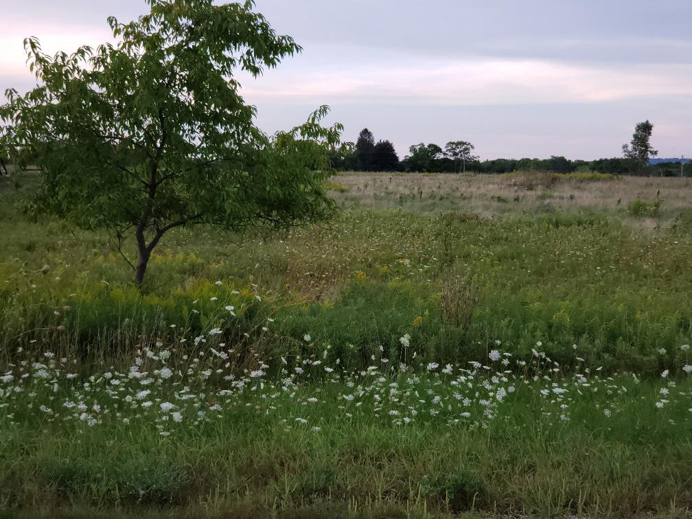 Lot 3 Barrick Road Sturgeon Bay, WI 54235 - Photo 2 of 9