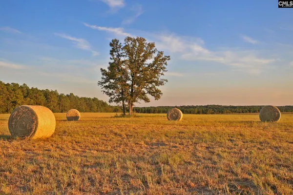 $2,600,000 | Tbd Browns Pond Road, Wagener, SC 29164