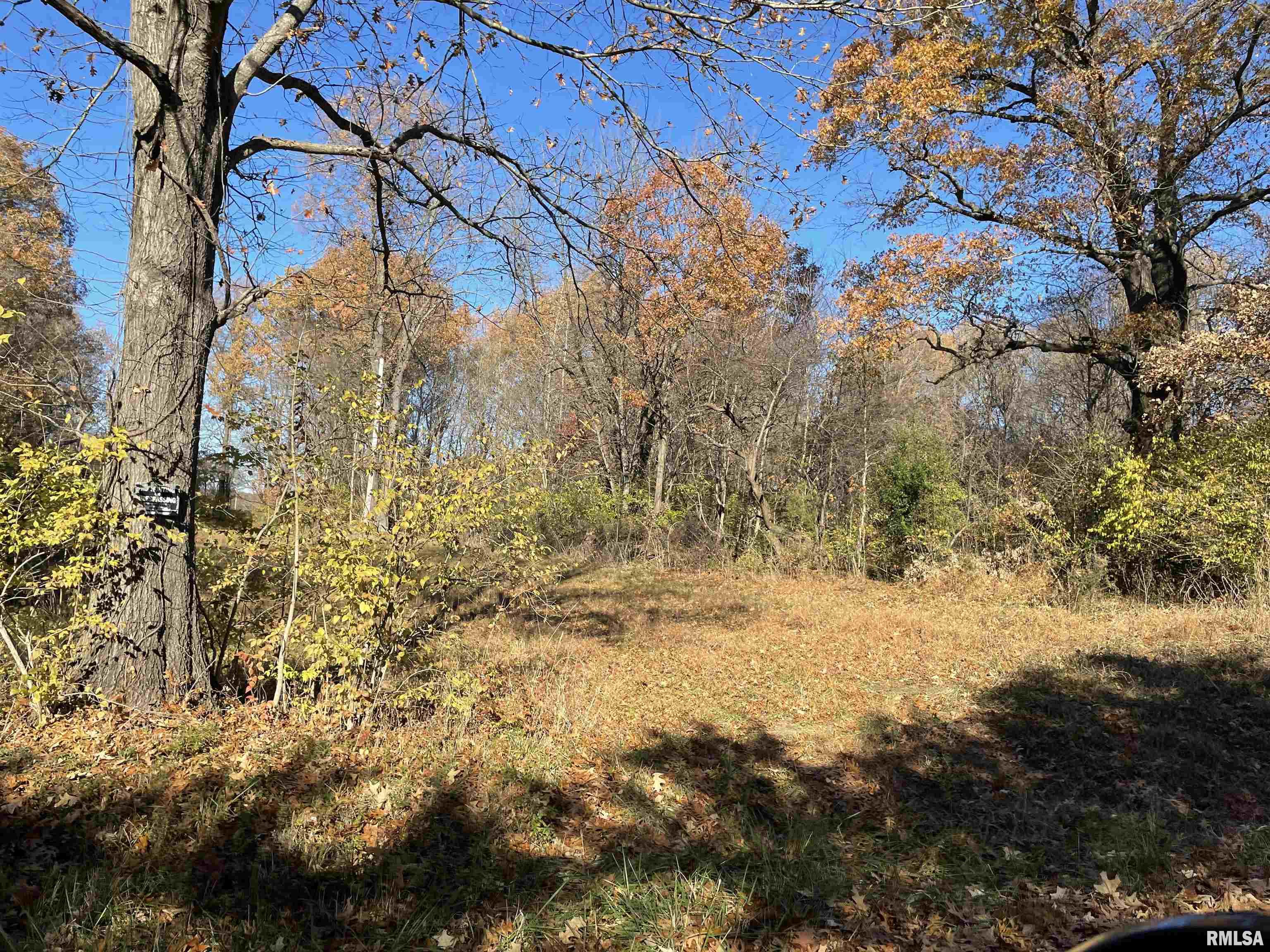 Tbd Old Cypress Road Vienna, IL 62995 - Photo 3 of 6