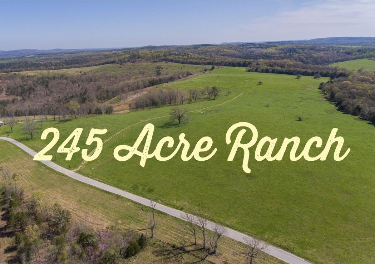 Tbd Beaver Creek Ranch Road Bradleyville, MO 65614 - Photo 1 of 1 IMG-8159