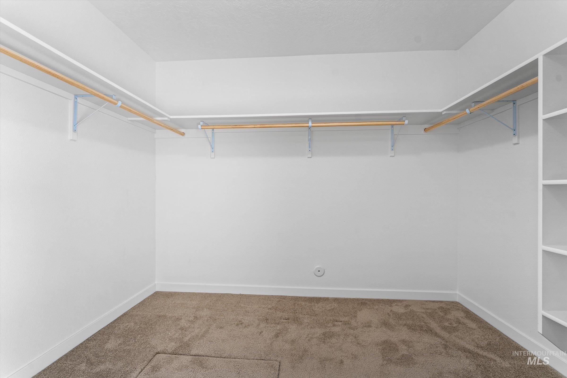 17798 Goose Ridge Avenue Nampa, ID 83687 - Photo 16 of 31 Walk in closet with carpet flooring
