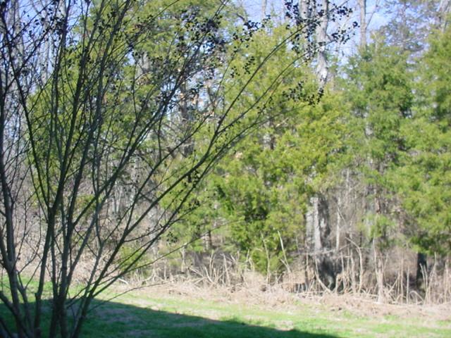 3401 Anderson Road, Unit 105 Antioch, TN 37013 - Photo 13 of 13 Gallery Image 13