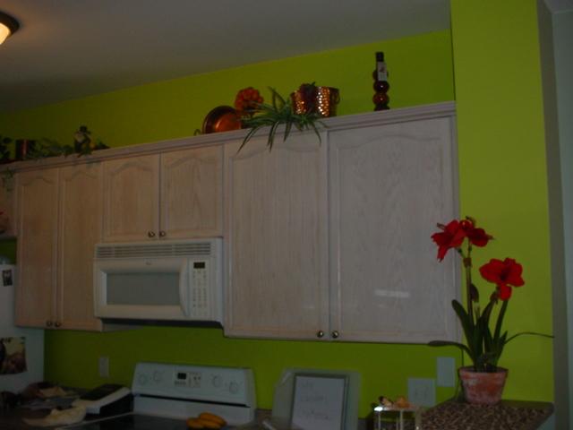 3401 Anderson Road, Unit 105 Antioch, TN 37013 - Photo 6 of 13 Gallery Image 6