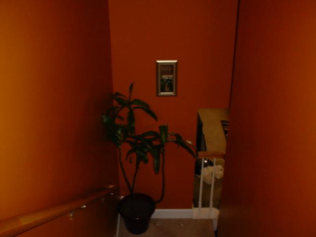 3401 Anderson Road, Unit 105 Antioch, TN 37013 - Photo 9 of 13 Gallery Image 9
