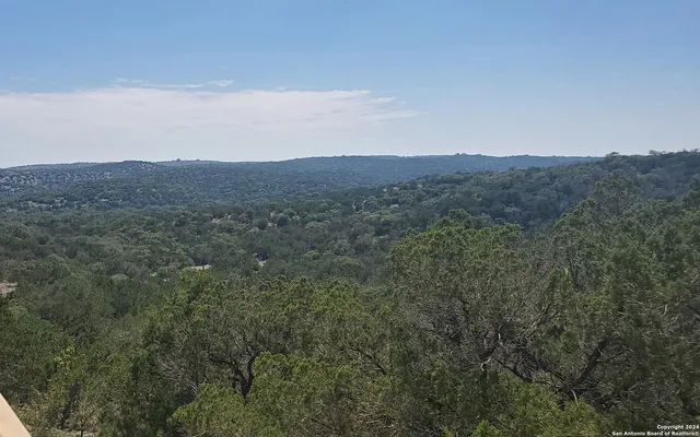 a view of a large mountain range with trees in the background