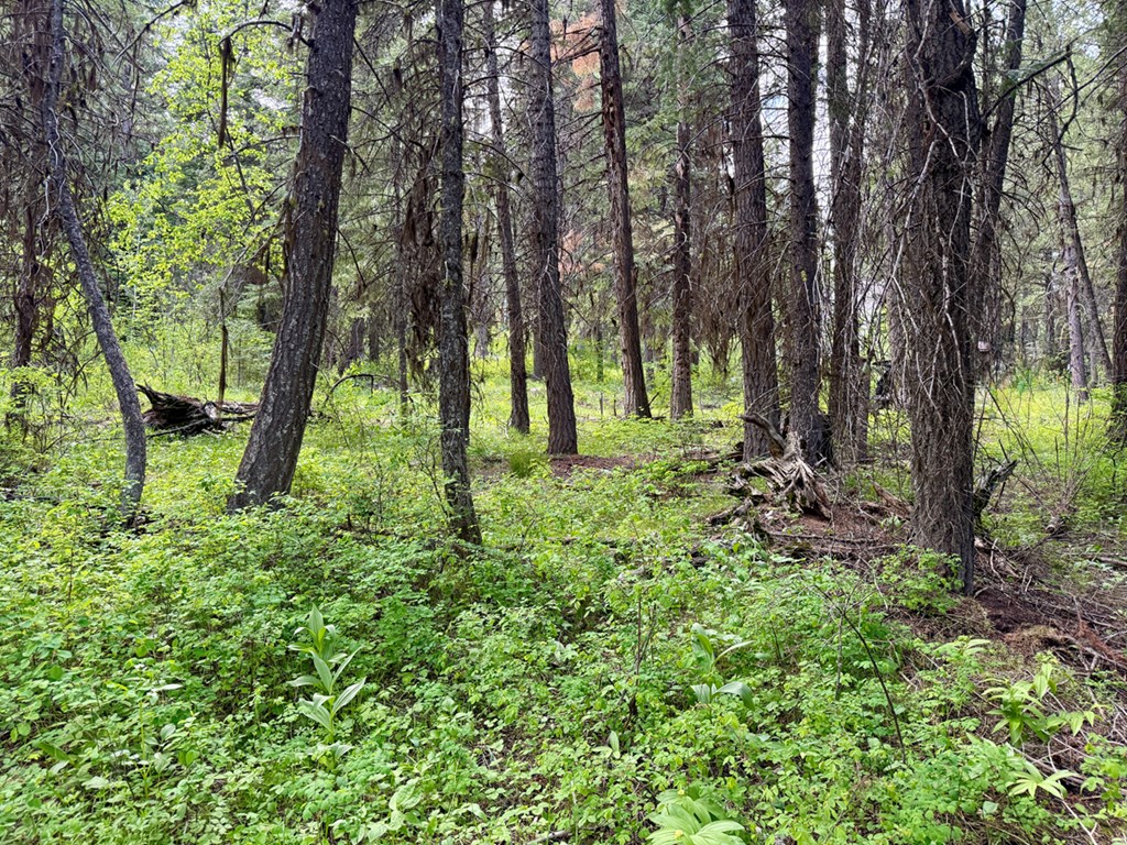 518 Susan Road, Unit 39 Cascade, ID 83611 - Photo 4 of 10 Relatively Level Ground