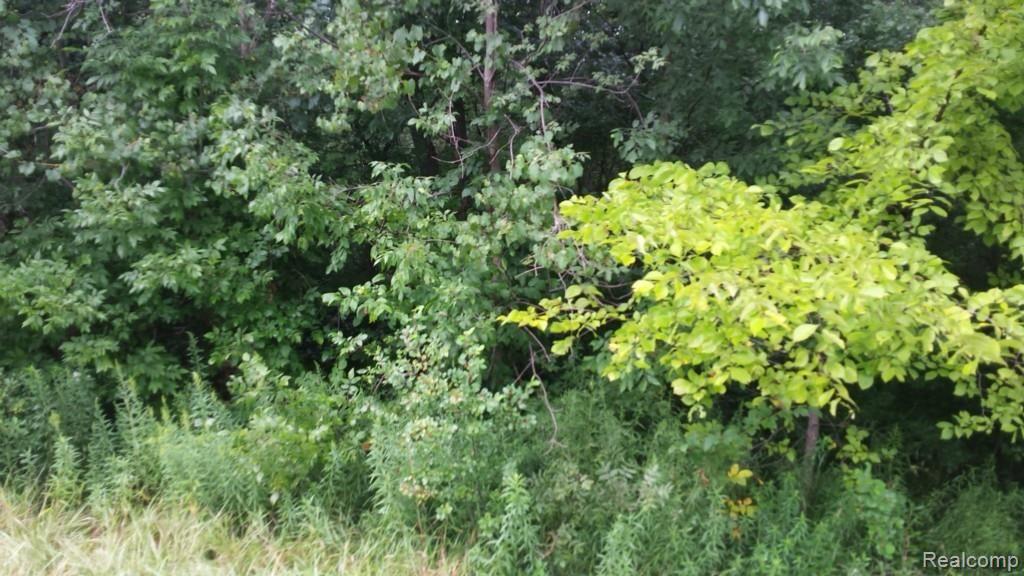 335 East Galbraith Line Road Melvin, MI 48454 - Photo 4 of 6