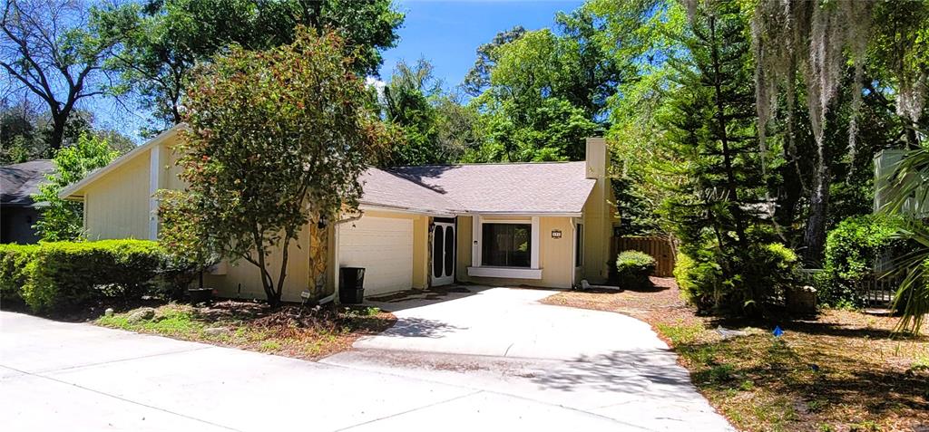 a view of a house with a yard plants and large tree
