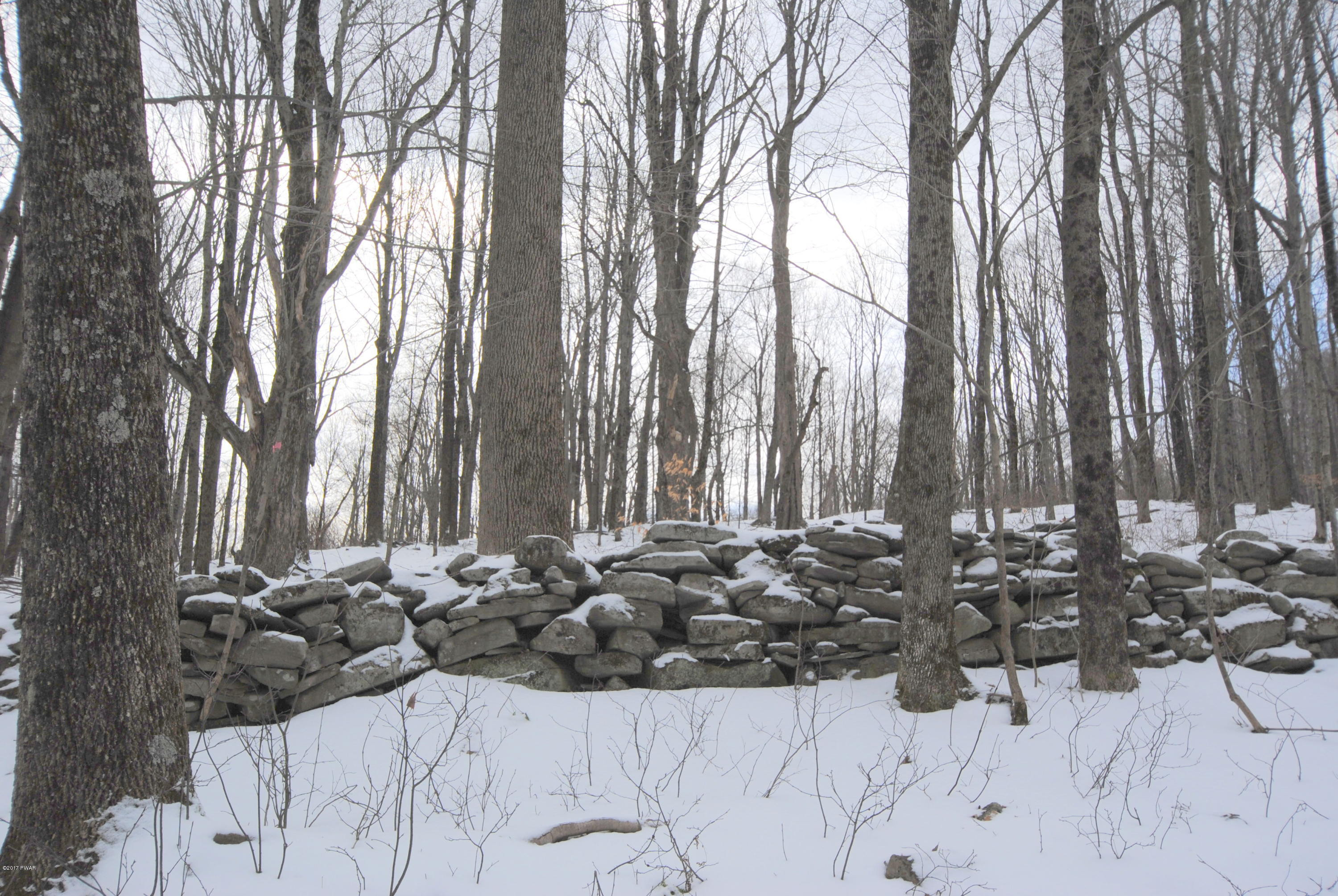 Burke Road Damascus, PA 18415 - Photo 4 of 12