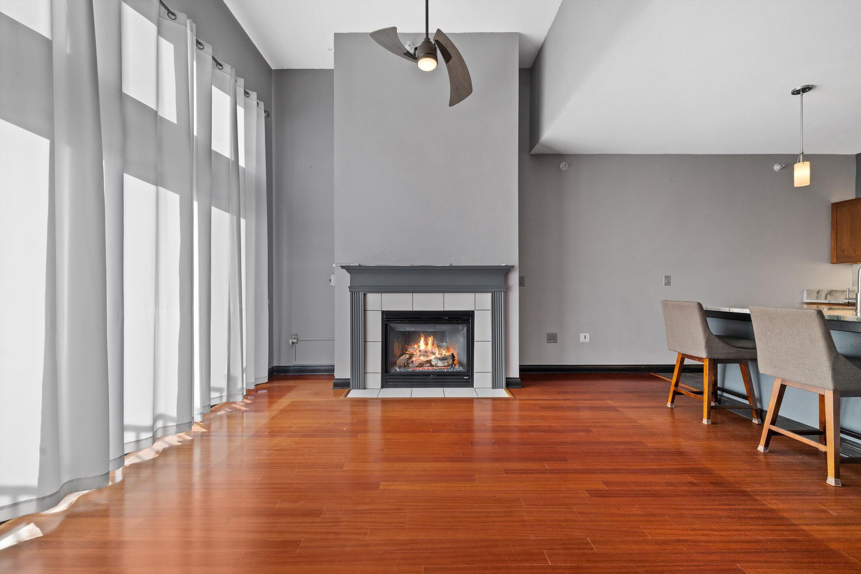 141 Main Street, Unit 430 Racine, WI 53403 - Photo 13 of 41 Gas Fireplace