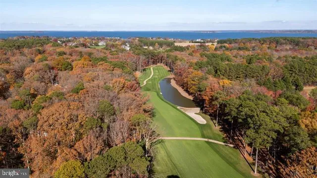 a front view of a house with a yard and tree s