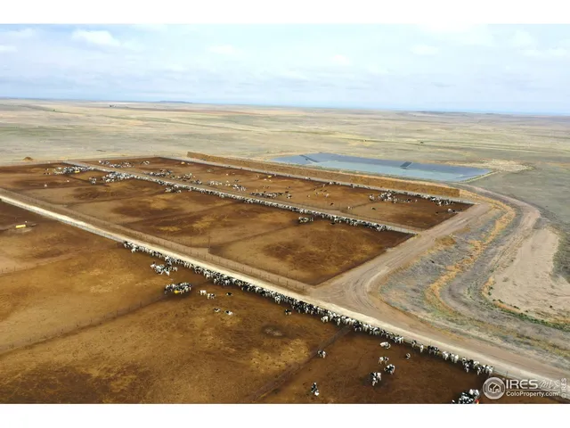 a view of an ocean and beach