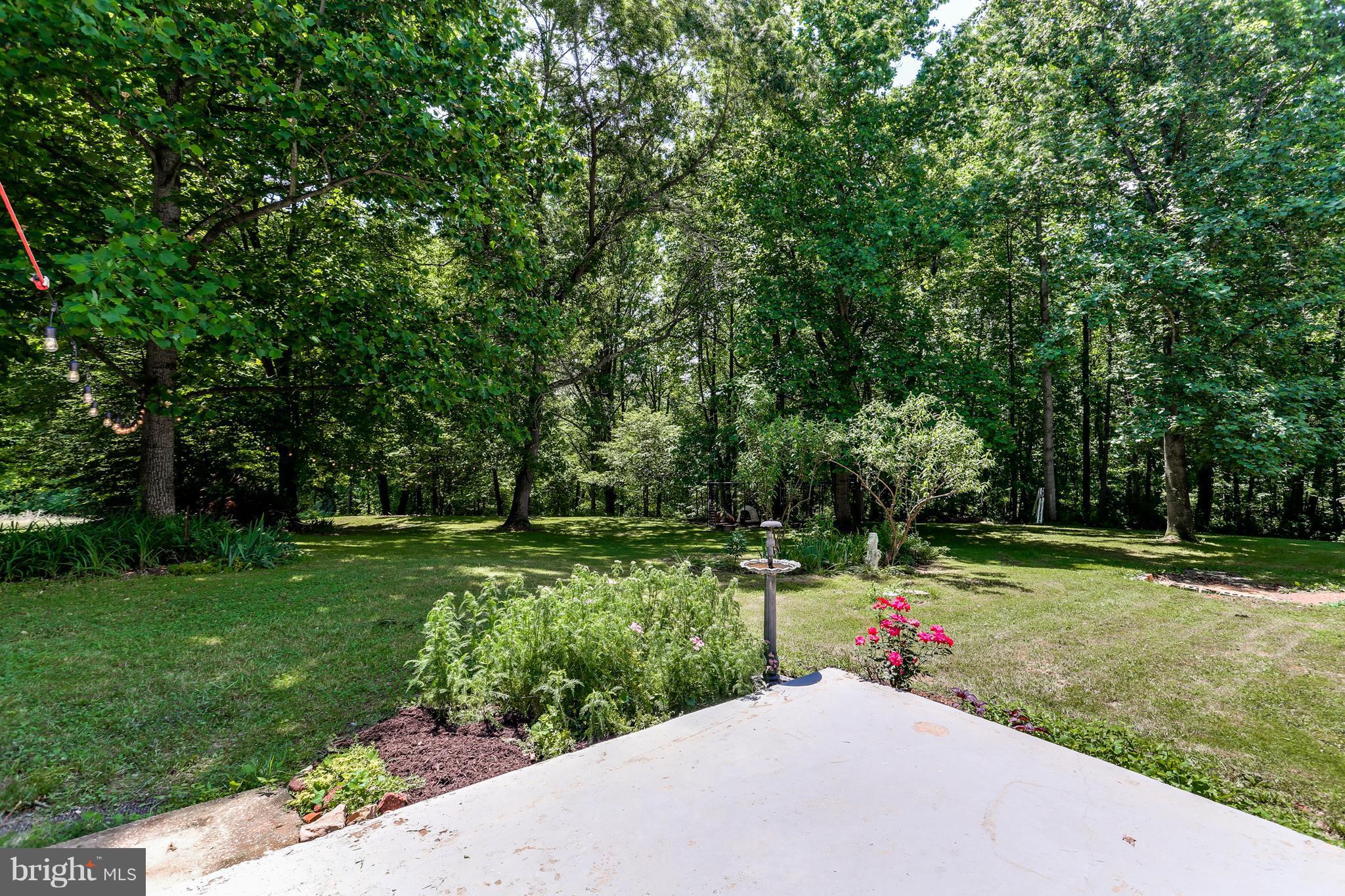 5175 Green Bridge Road Dayton, MD 21036 - Photo 28 of 30 Patio View