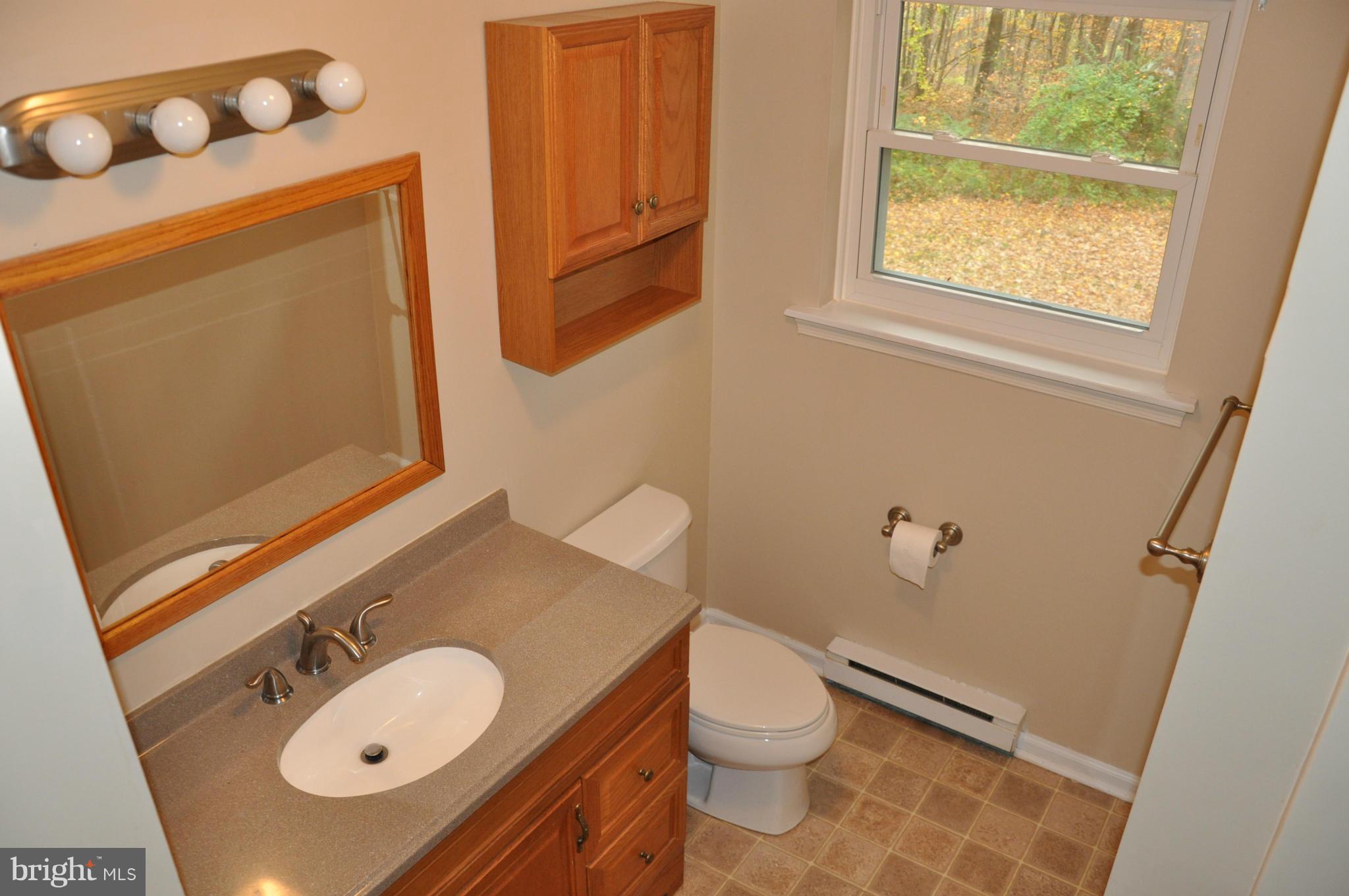 2703 Indian Run Road Amissville, VA 20106 - Photo 13 of 27 Bath