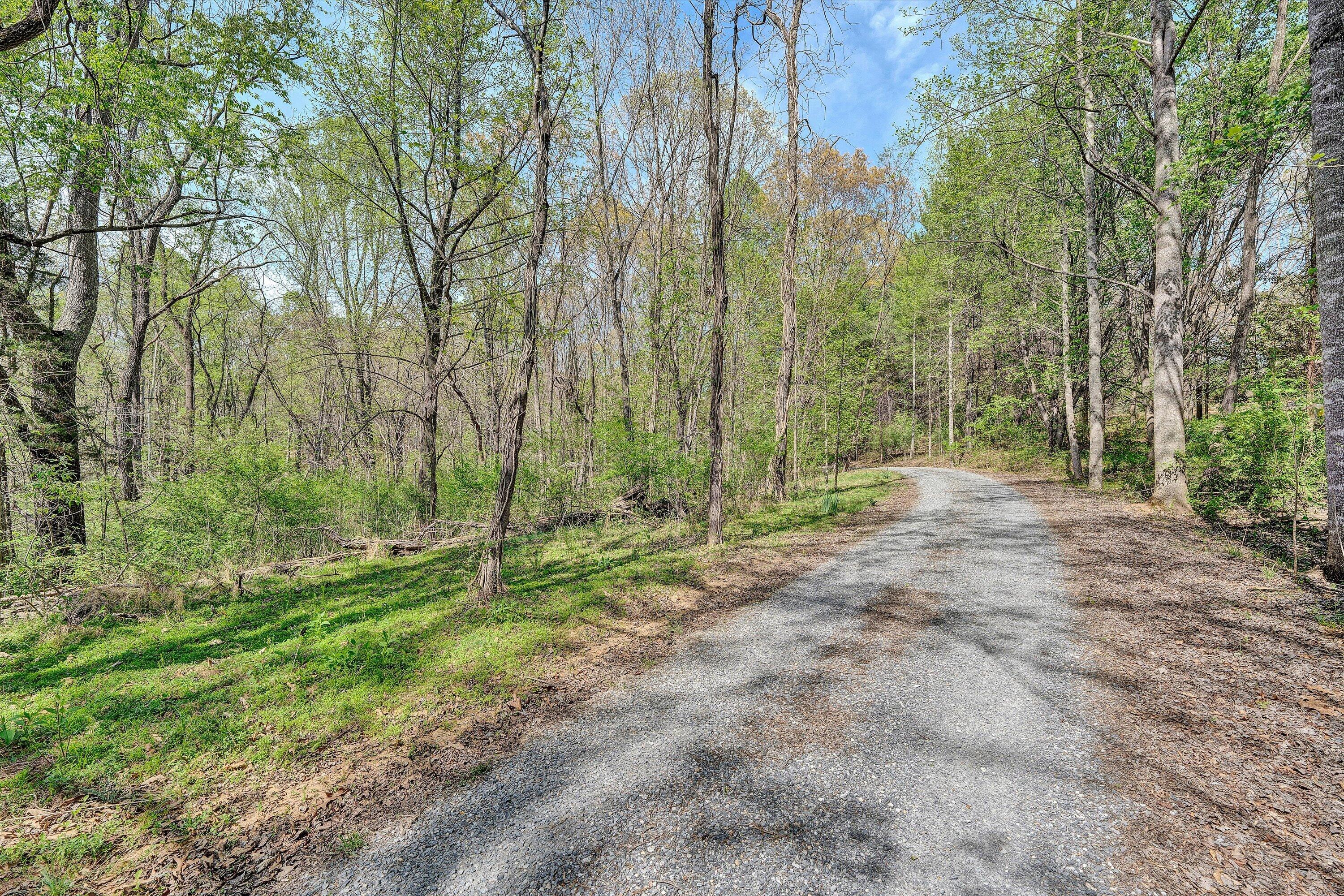 1124 Old Hollow Road Buchanan, VA 24066 - Photo 68 of 73 a view of outdoor space with trees