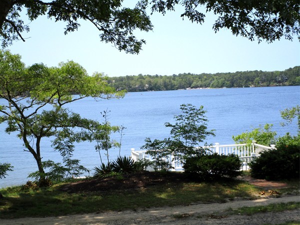 81 Sequattom Road Harwich, MA 02645 - Photo 14 of 14 Gallery Image 14