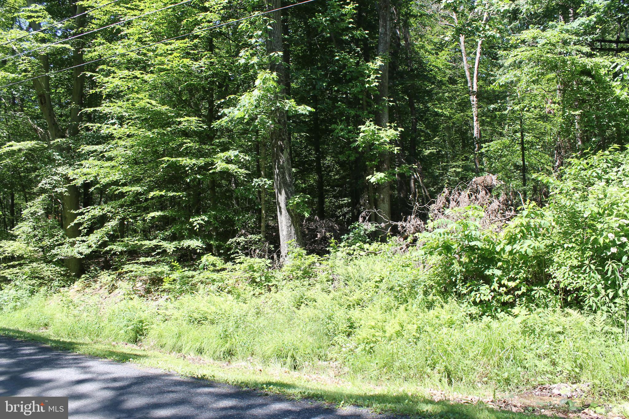 21 High Ridge Trail Fairfield, PA 17320 - Photo 1 of 6 Gallery Image 1