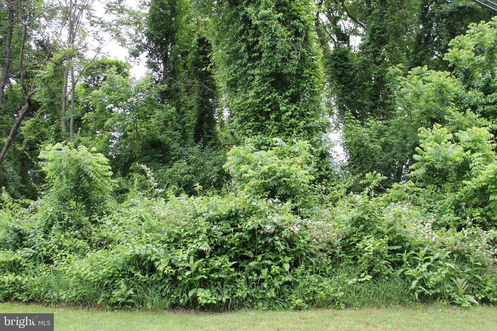 21 High Ridge Trail Fairfield, PA 17320 - Photo 2 of 6 Gallery Image 2