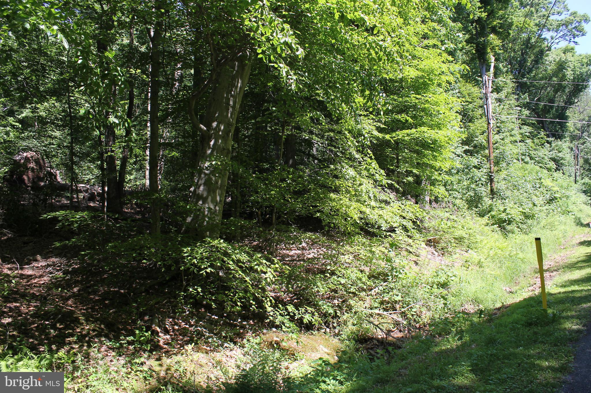 21 High Ridge Trail Fairfield, PA 17320 - Photo 3 of 6 Gallery Image 3