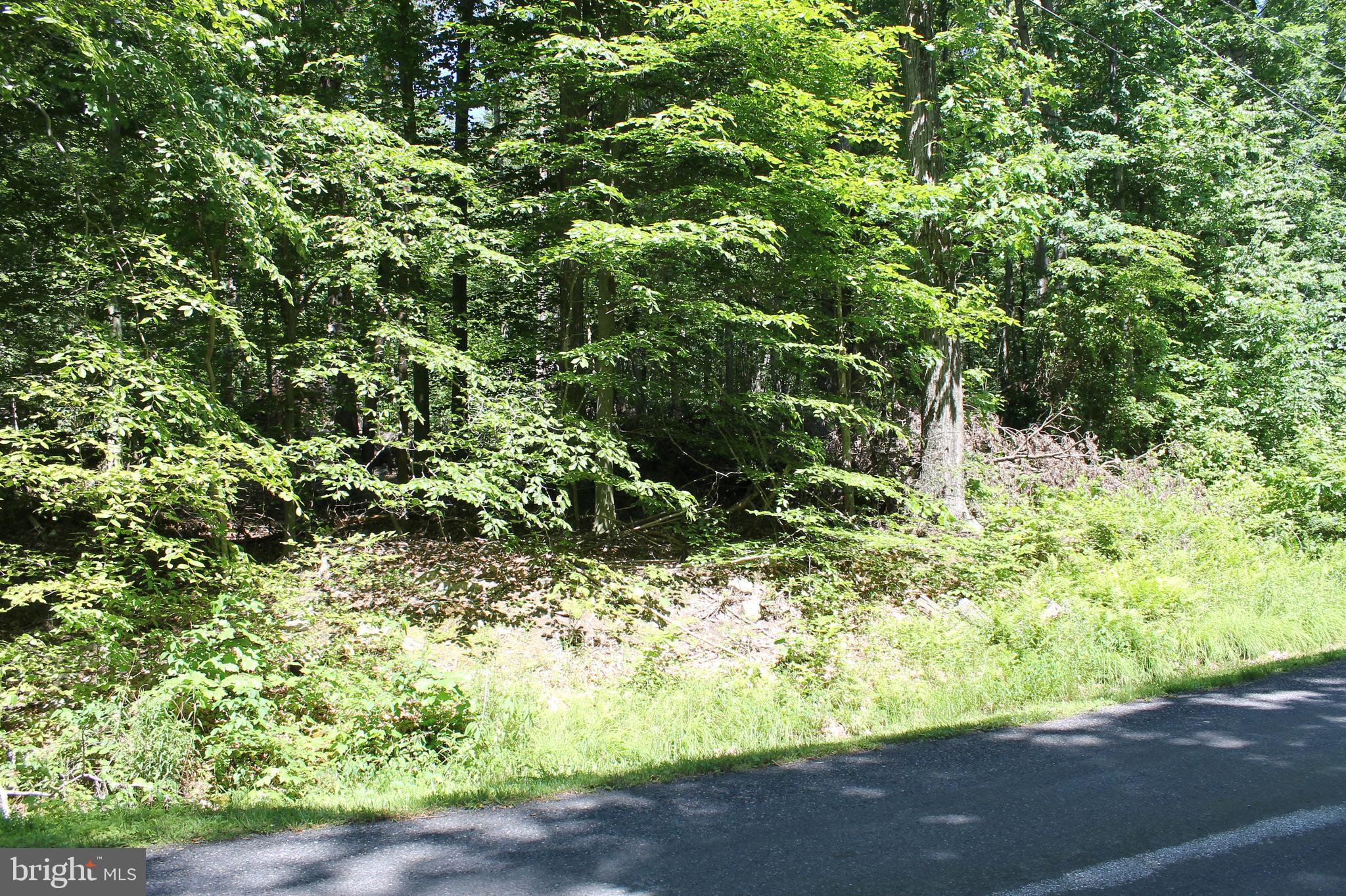 21 High Ridge Trail Fairfield, PA 17320 - Photo 4 of 6 Gallery Image 4