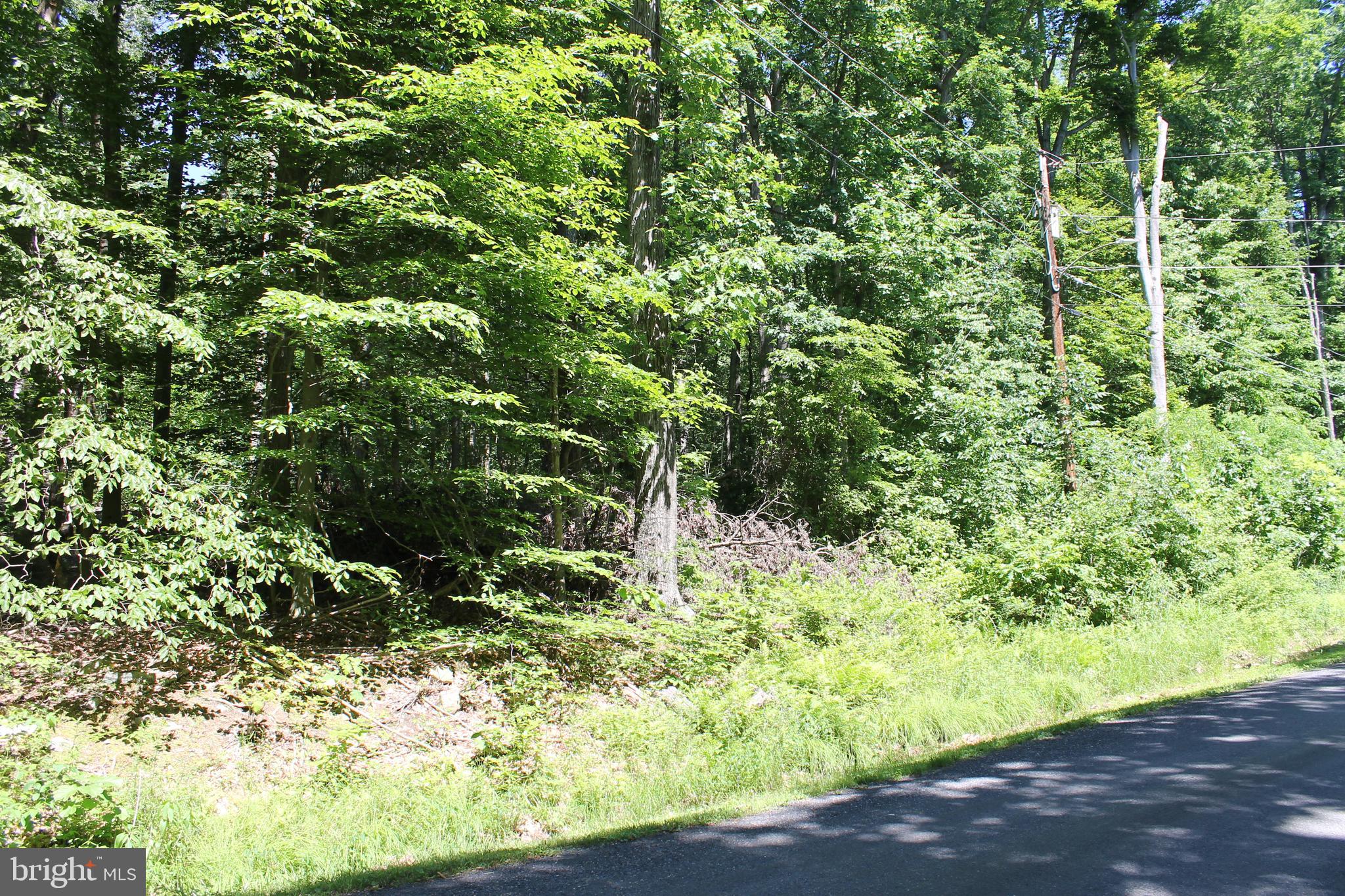 21 High Ridge Trail Fairfield, PA 17320 - Photo 5 of 6 Gallery Image 5