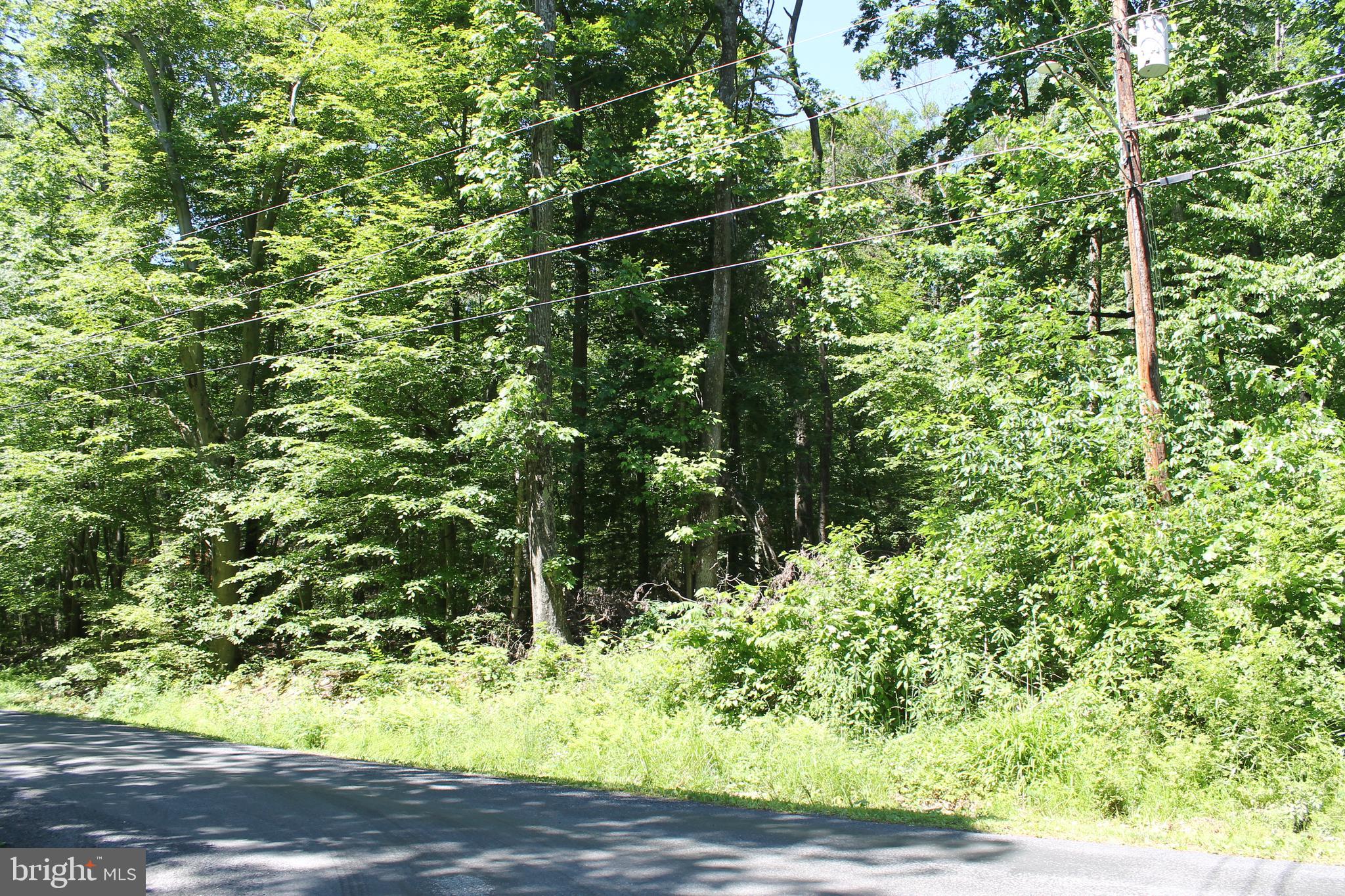 21 High Ridge Trail Fairfield, PA 17320 - Photo 6 of 6 Gallery Image 6