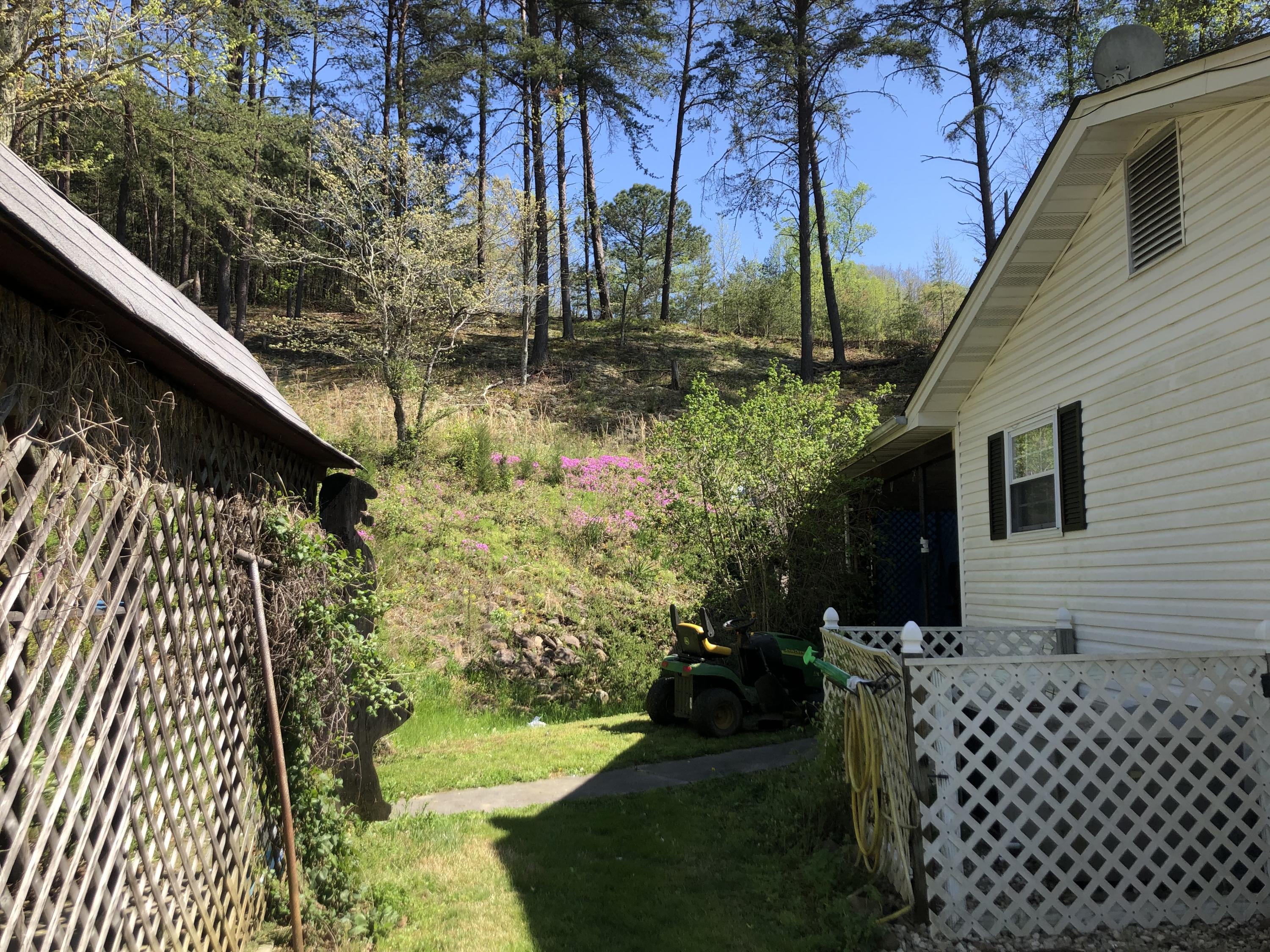 5201 Hickory Valley Road Heiskell, TN 37754 - Photo 24 of 32 Side Yard