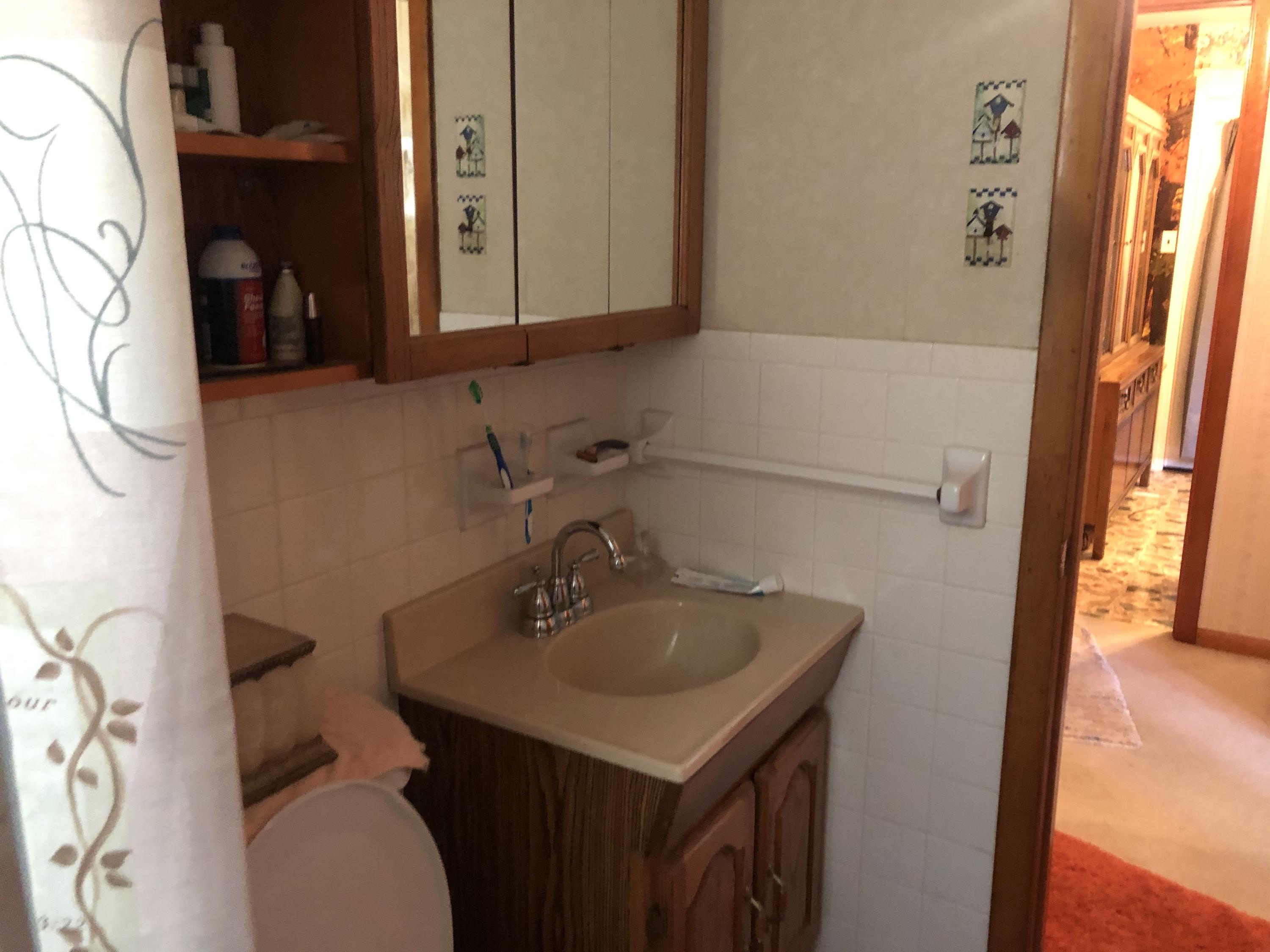 5201 Hickory Valley Road Heiskell, TN 37754 - Photo 10 of 32 Bathroom