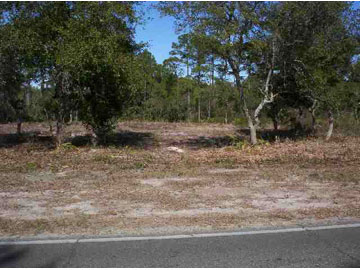 104 Old Ferry Dock Road Eastpoint, FL 32328 - Photo 1 of 1