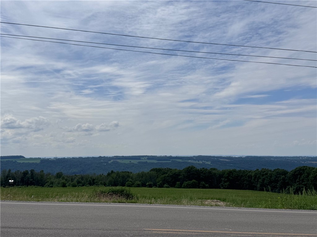 0 Stagecoach Road Conesus, NY 14435 - Photo 3 of 19 Gallery Image 3