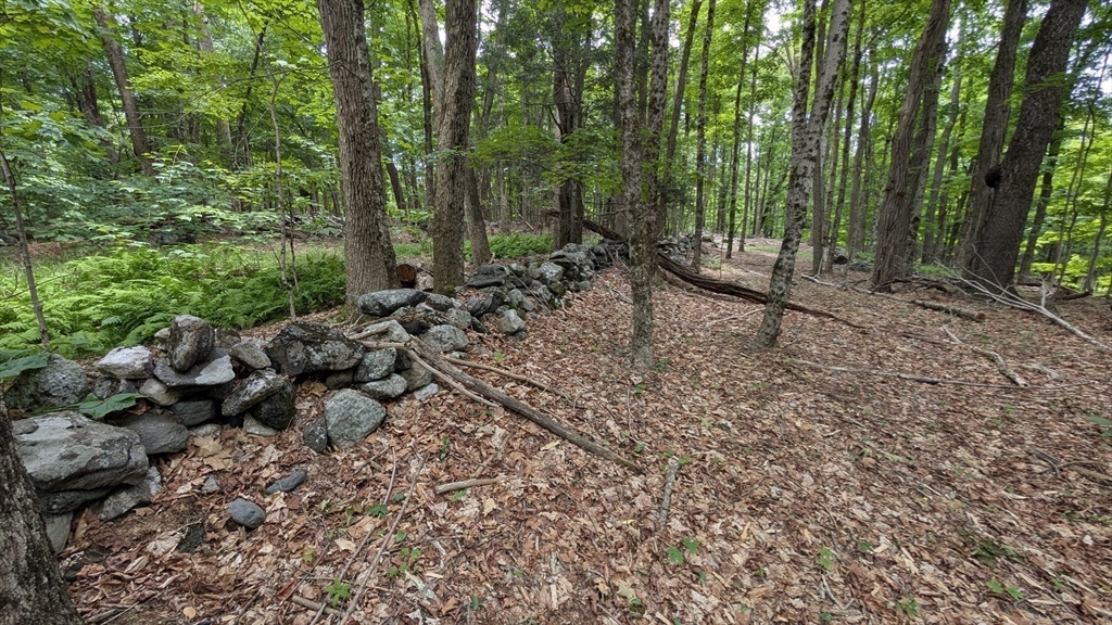 951 West Road Ashfield, MA 01330 - Photo 16 of 30 Gallery Image 16